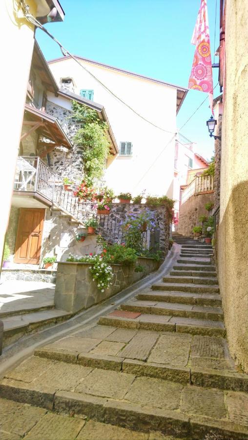 Casafiorita Villa Mattarana Luaran gambar